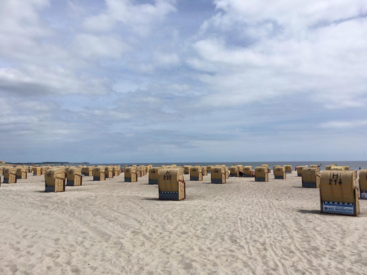 Meerblick Pur - Strandhafer Am Suedstrand
