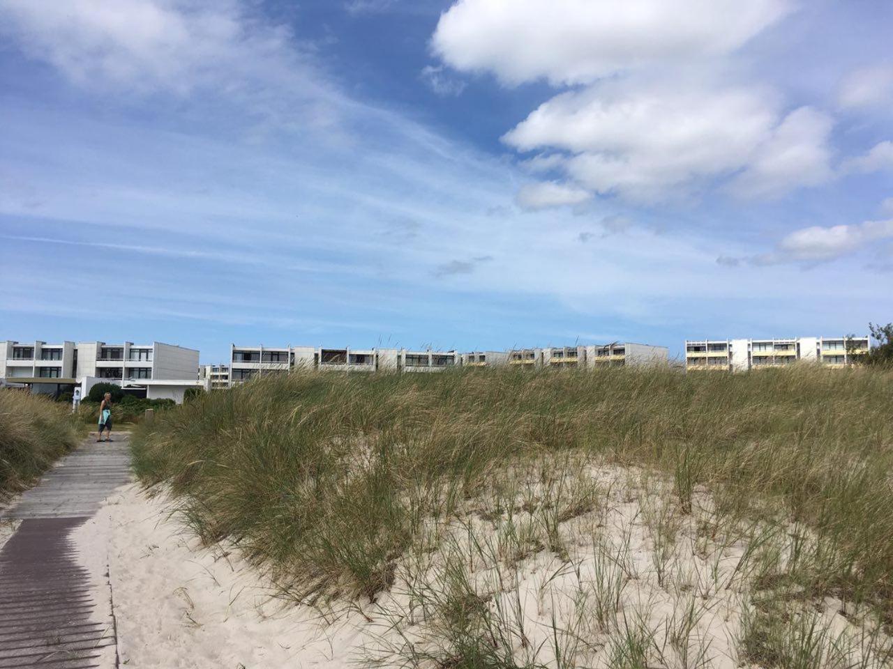 Meerblick Pur - Strandhafer Am Suedstrand *